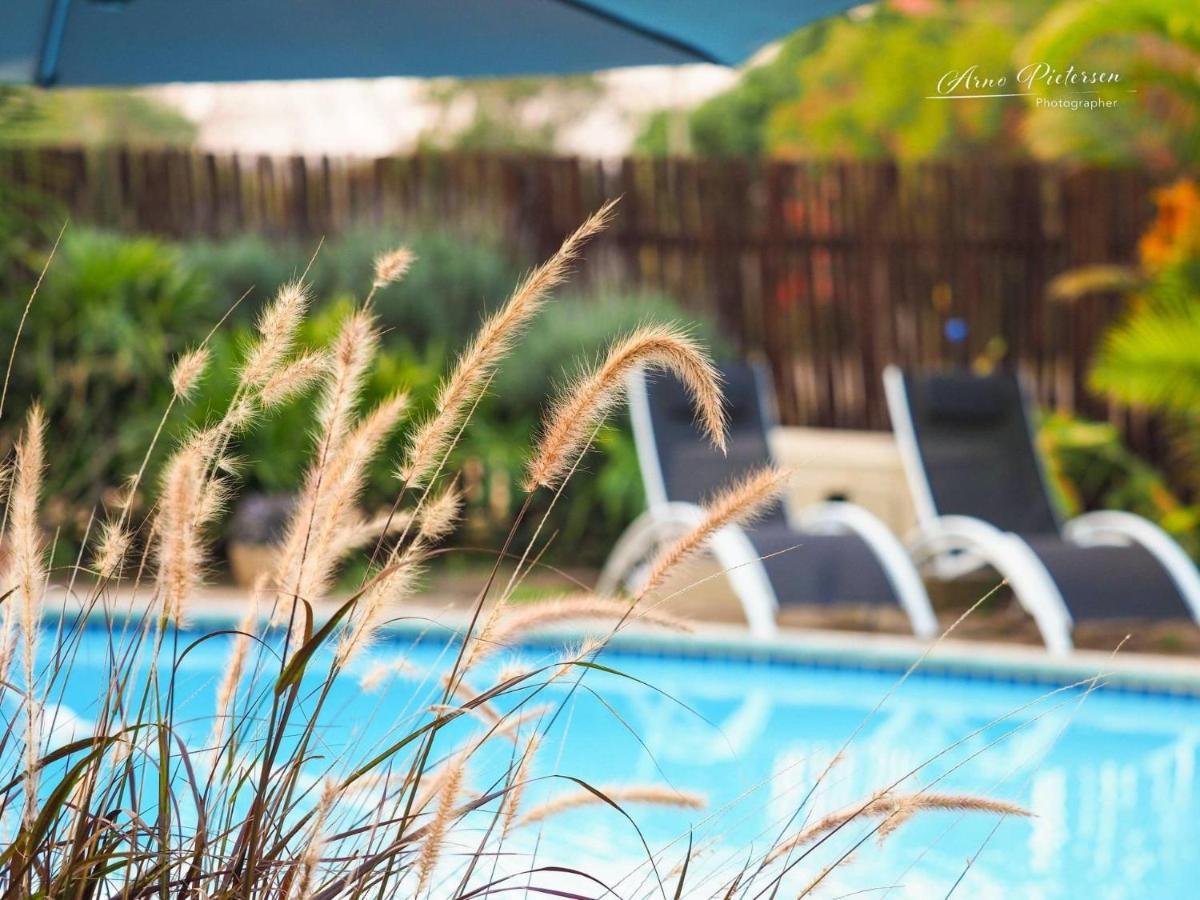 Fever Tree Guesthouse Hillcrest Zewnętrze zdjęcie