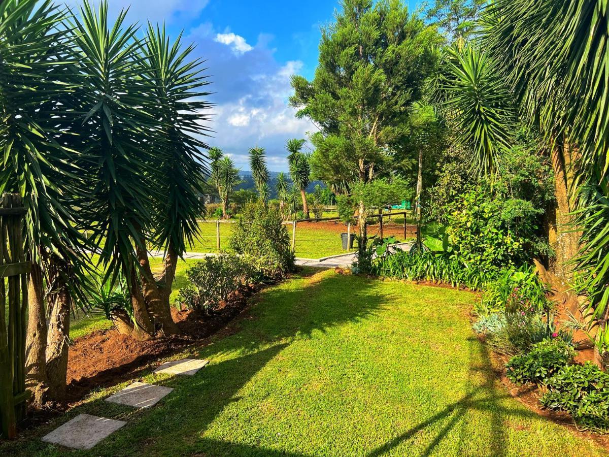 Fever Tree Guesthouse Hillcrest Zewnętrze zdjęcie